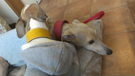 2013031711.jpg