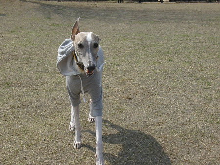2013031712.jpg