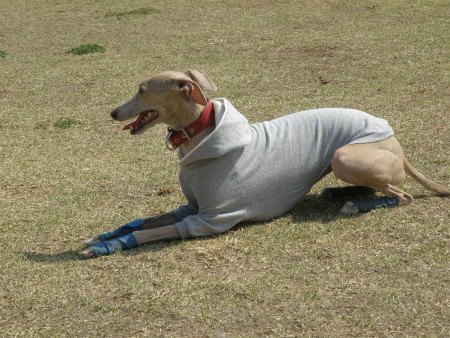 2013031713.jpg