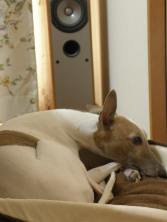 2013031901.jpg