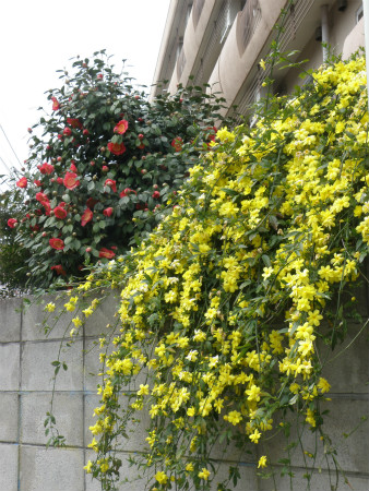 2013032402.jpg