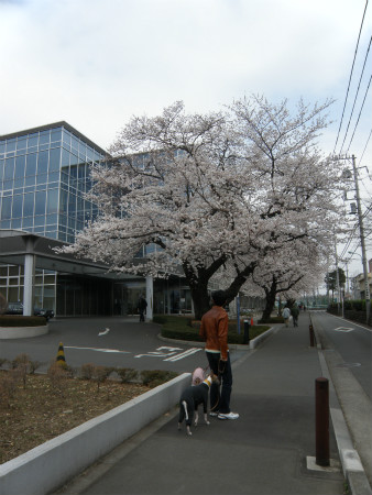 2013032403.jpg