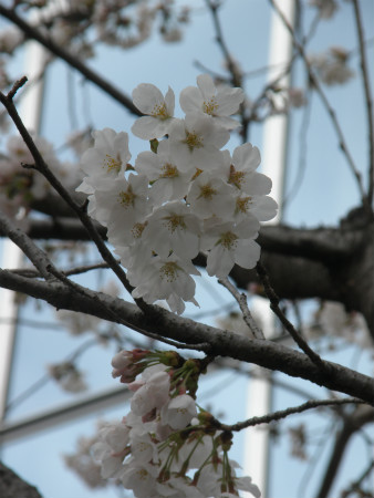 2013032405.jpg