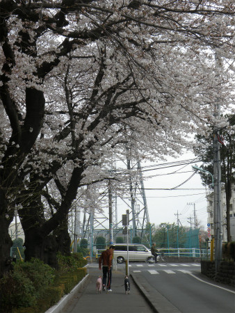2013032406.jpg