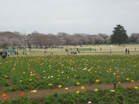 2013032408.jpg