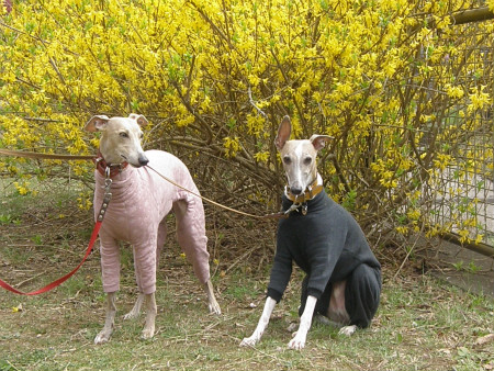 2013032409.jpg