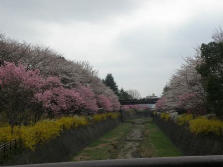 2013032410.jpg