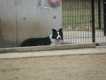 2013032411.jpg