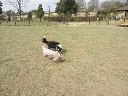 2013032412.jpg