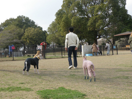 2013032413.jpg