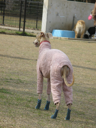 2013032414.jpg