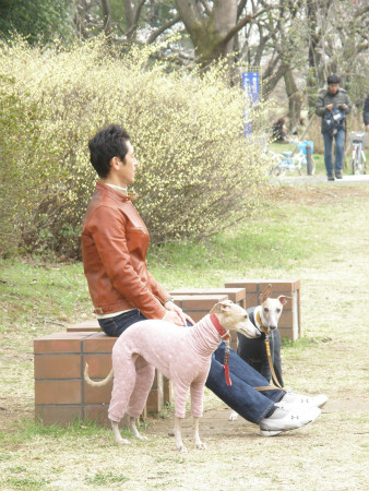 2013032415.jpg