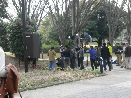2013032416.jpg