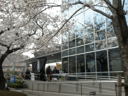 2013032417.jpg