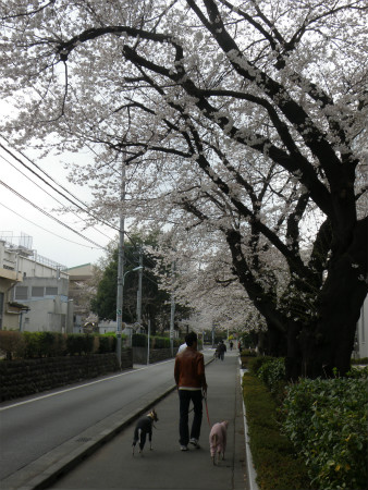 2013032418.jpg