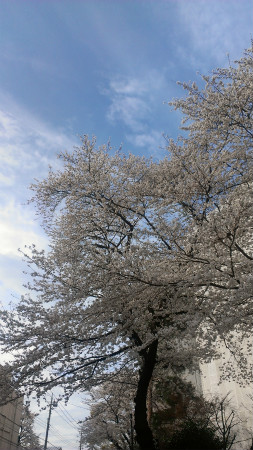 2013032801.jpg