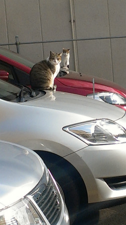 2013032802.jpg