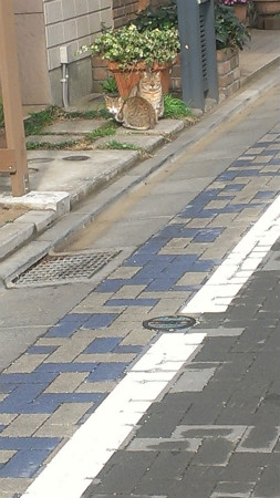 2013032803.jpg