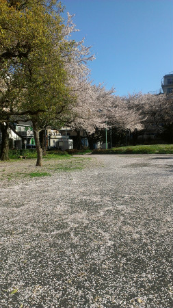 2013040401.jpg