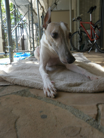 2013040702.jpg
