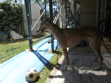 2013040703.jpg