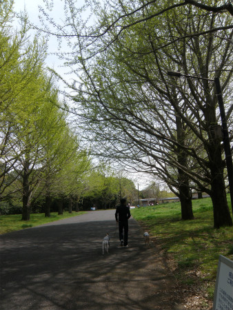2013041402.jpg