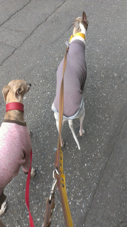 2013041701.jpg