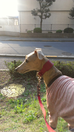 2013041801.jpg