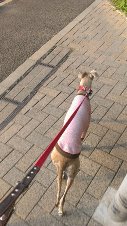 2013041802.jpg