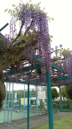 2013042101.jpg