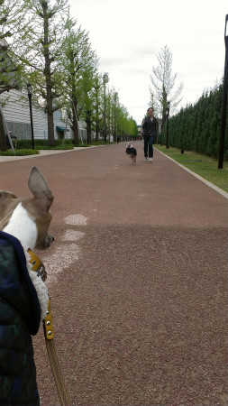 2013042102.jpg