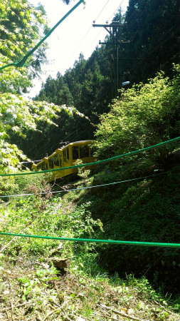 2013042801.jpg