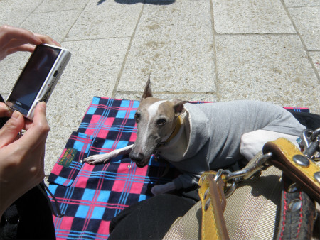 2013042804.jpg