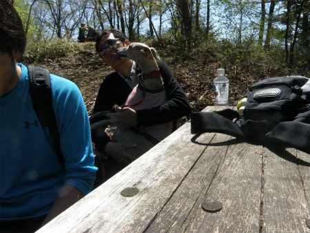 2013042805.jpg