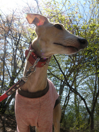 2013042806.jpg