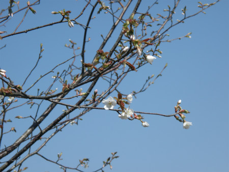 2013042808.jpg
