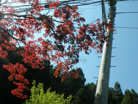 2013042809.jpg