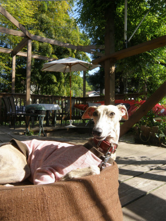 2013042810.jpg