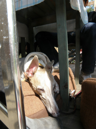 2013042811.jpg