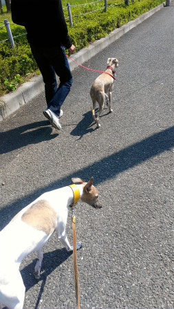 2013050401.jpg