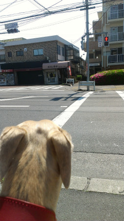 2013050505.jpg