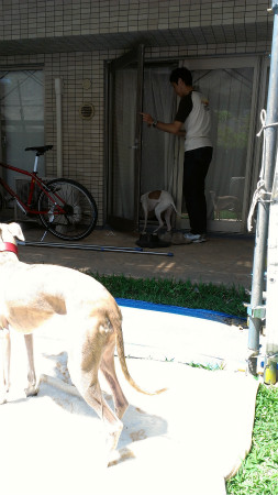 2013050508.jpg