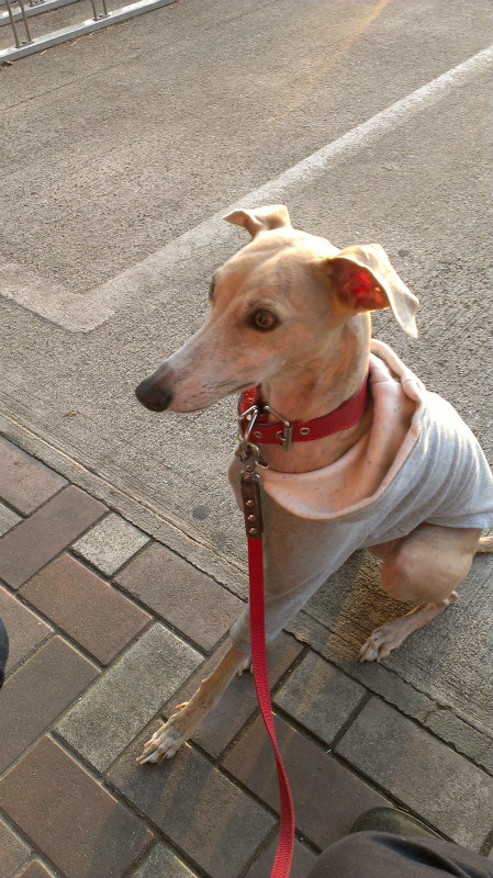 2013050510.jpg