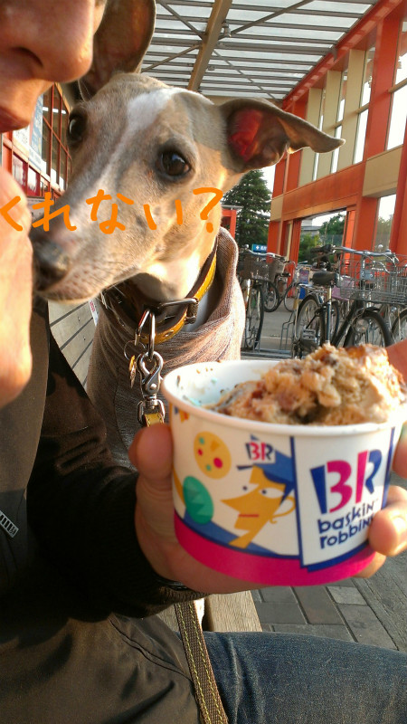 2013050511.jpg