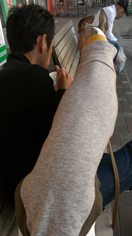 2013050512.jpg