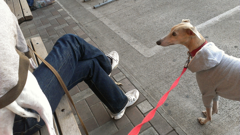 2013050513.jpg