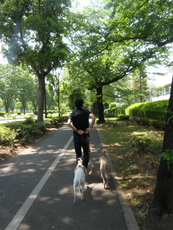 2013050601.jpg