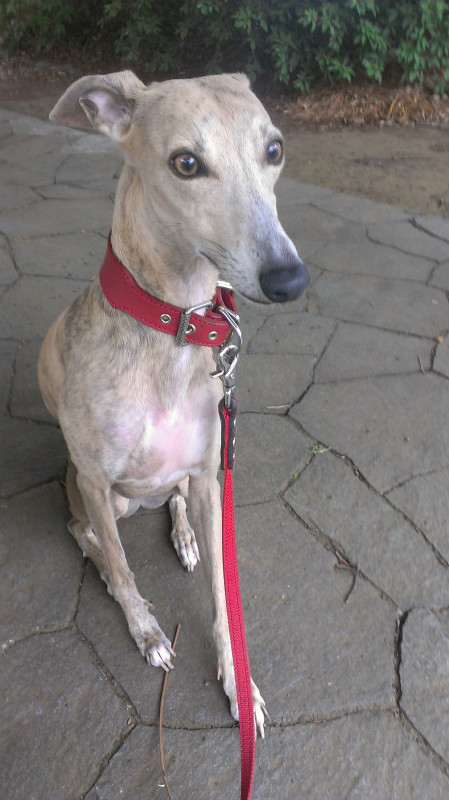 2013051001.jpg