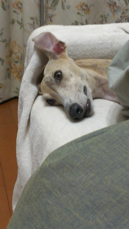 2013051005.jpg