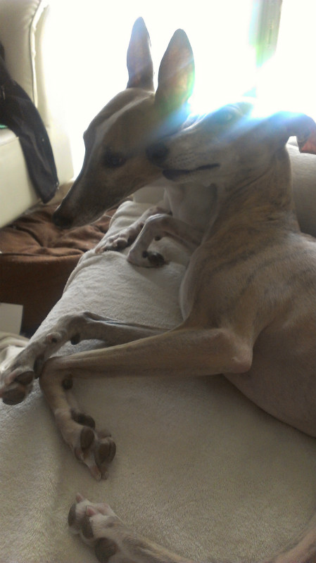 2013051006.jpg